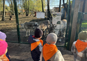 Dzieci obserwują renifery