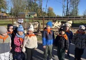 Dzieci stiją przed zagrodą osiołków