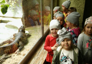 Zwiedzanie ZOO