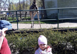 Zwiedzanie ZOO