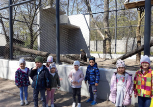 Zwiedzanie ZOO