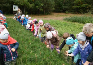 Dzieci w szkółce leśnej