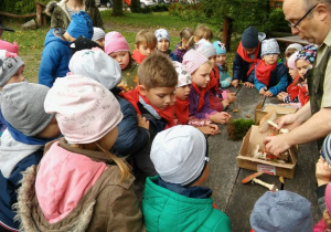 Dzieci rozpoznają grzyby