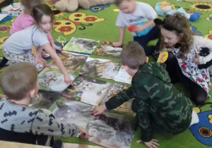 Dzieci oglądają rozłożone na dywanie ilustracje kotów