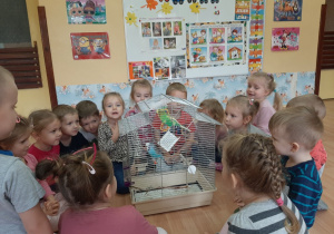 Dzieci oglądają klatkę z papugami