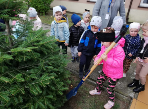 Tygryski sadzą drzewa w ramach edukacji ekologicznej