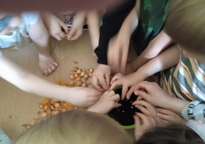 Dzieci sadzą cebulki kwiatów