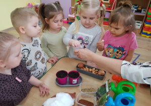 Dzieci sprawdzają ziarna i cebulki