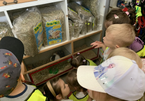 Dzieci w sklepie zoologicznym