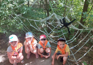 Dzieci przy ogromnej pajęczynie z pająkiem