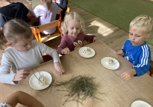 Dzieci wkładają sosnowe igły w ciastolinowe jeże