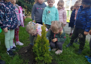 Dziewczynki sadzą krzew