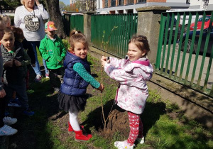 Dziewczynki sadzą drzewko