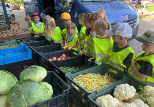 Dzieci oglądają warzywa i owoce