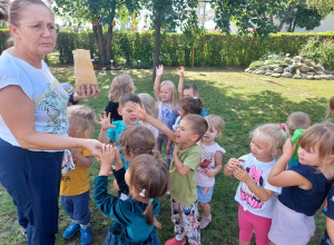 Motylki sadzą cebulki w ogrodzie