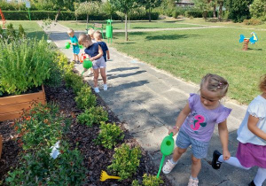 Grupa dzieci podlewa inne roślinki
