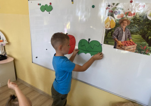Chłopiec układa z "puzzli" sylwetę zielonego jabłka