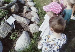 Dzieci oglądają ciekawe rośliny na skalniku.