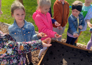 Dzieci prezentują cebulki kwiatowe.