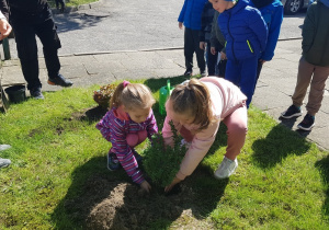 Dzieci sadzą drzewka.