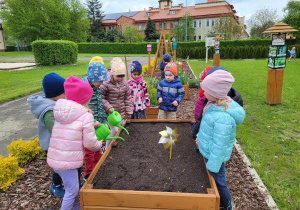 Dzieci podlewają posadzone cebulki