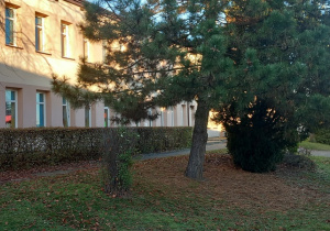 Budynek przedszkola z widokiem na ogród.