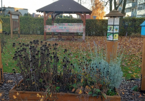 Fragment "Zielonej Pracowni" w naszym ogrodzie.